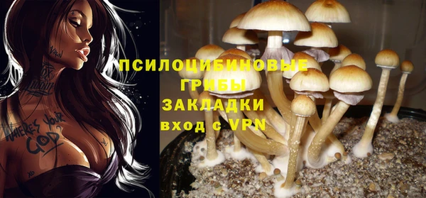 а пвп мука Алексеевка