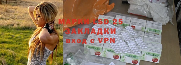 дурь Алзамай