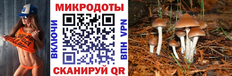 Псилоцибиновые грибы Psilocybine cubensis Сухиничи
