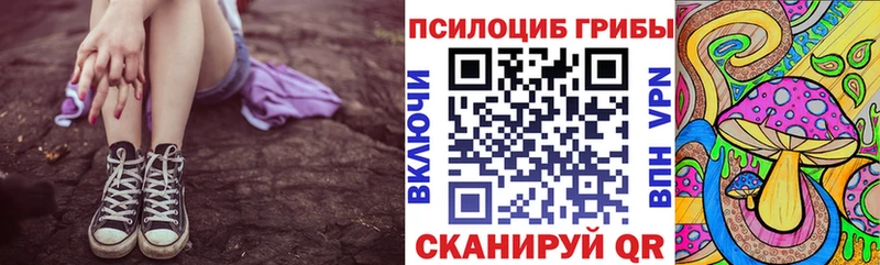 Псилоцибиновые грибы Psilocybe  сайты даркнета наркотические препараты  Сухиничи 